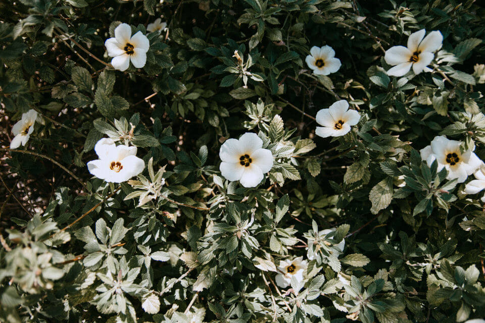 Ingrid B L'instant P - Photographe - Mariage Murielle & Loïc au Jardin d'Eden à la Réunion